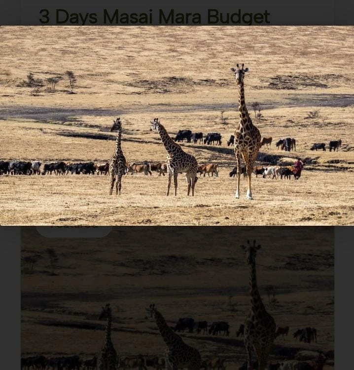 Maasai Mara National Reserve