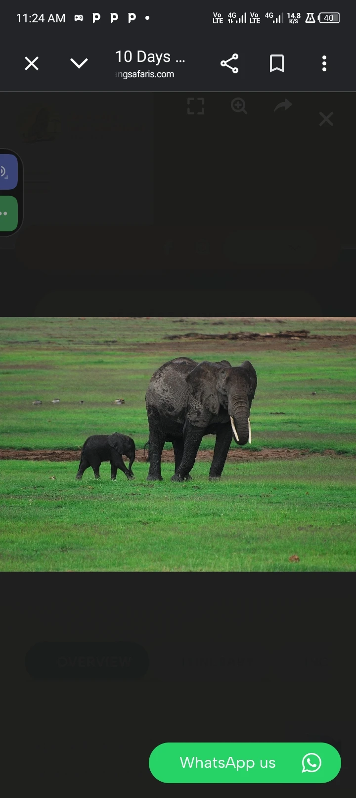 Tsavo National park 