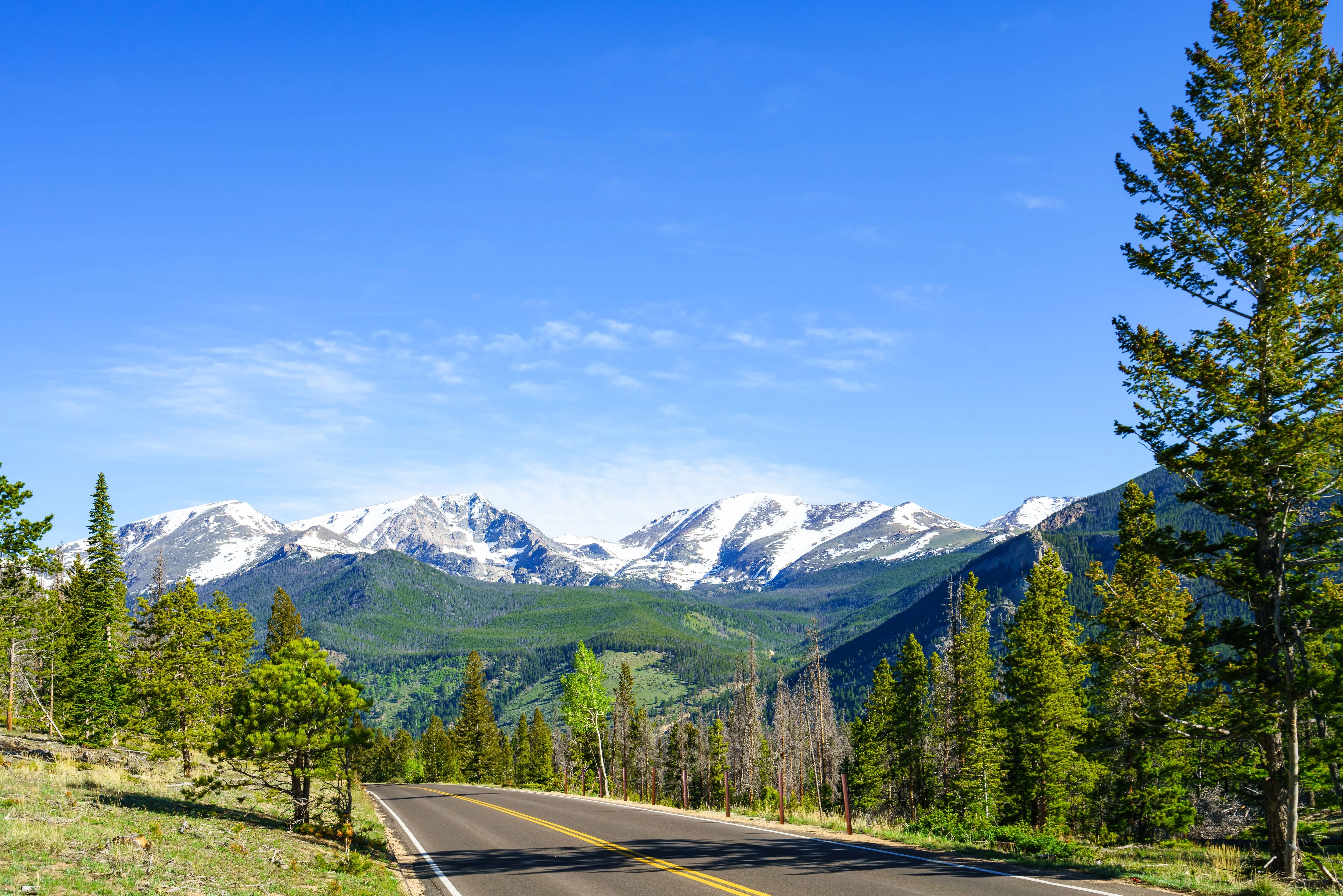 COLORADO 